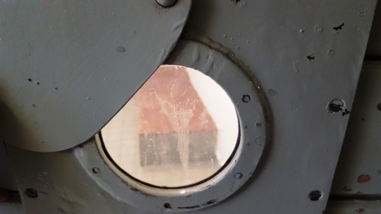 Ein Blick in die Zelle